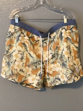 American Eagle Outfitters Swim Shorts